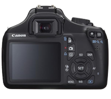 R-Canon 2